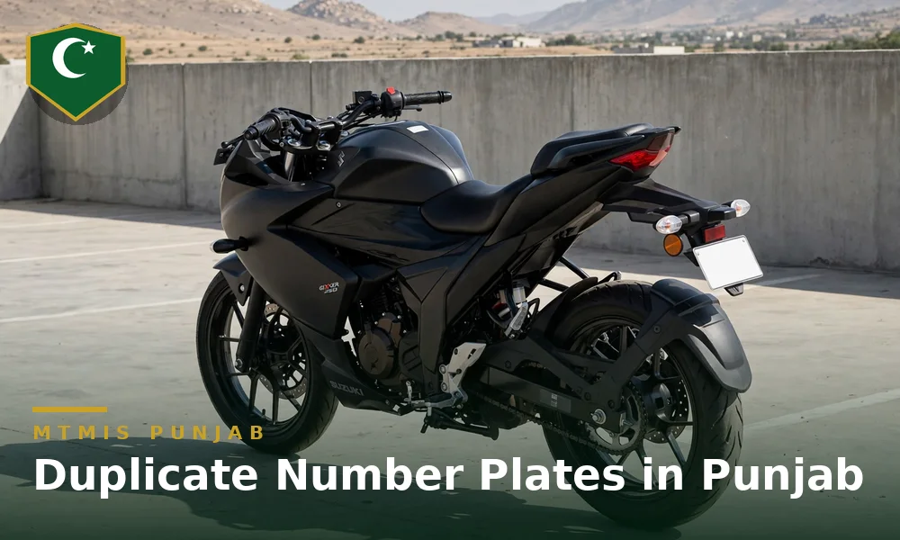 Duplicate or lost number plates in Punjab: how to apply